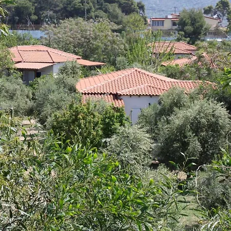 Nikos 9