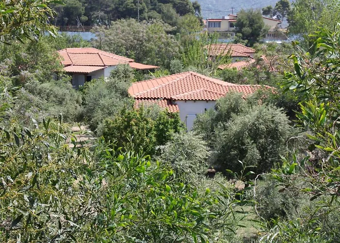 Nikos 9